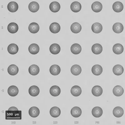 Fresnel zone lens array — patterned on the NANYTE BEAM maskless lithography system