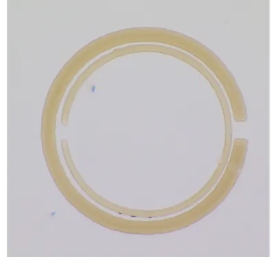 Asymmetric split ring resonators