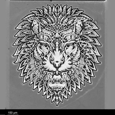 Lion head · greyscale relief